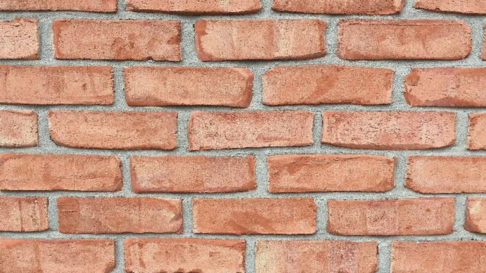 A close-up view of a textured brick wall, showcasing the varying colors and patterns of the bricks.