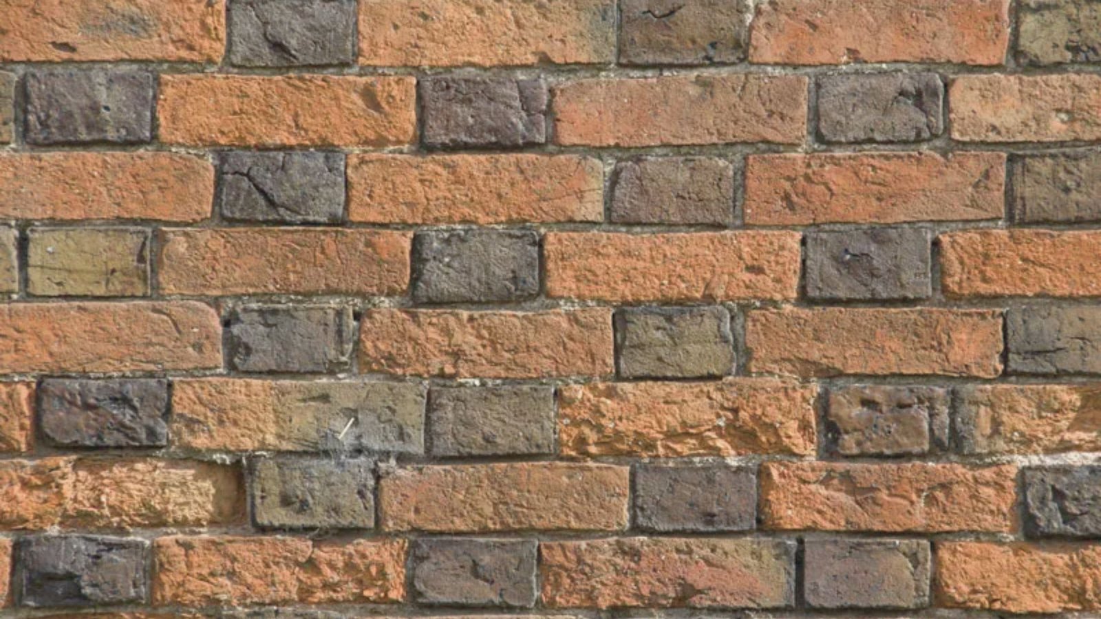 A textured brick wall featuring colorful squares in various shades, creating a vibrant and artistic display.
