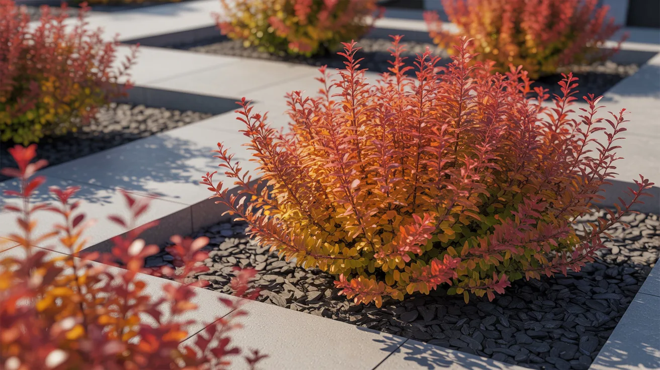 A vibrant garden featuring a variety of plants with striking red and orange leaves.