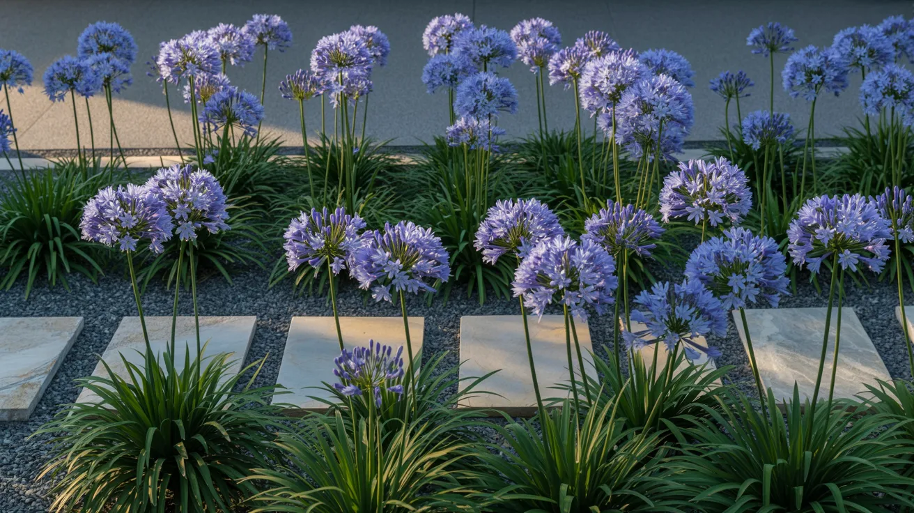 A vibrant garden filled with numerous purple flowers surrounded by decorative stones.